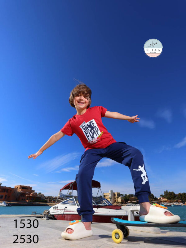 Skate flib - Image 3